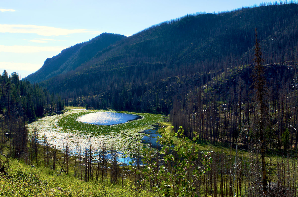 Pool-Cub Lake, RMNP