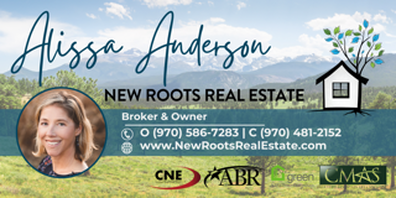 https://newrootsrealestate.com
