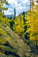 Wild Basin trail